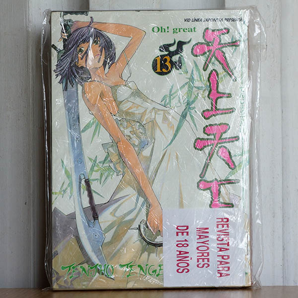 Tenjo Tenge #13
