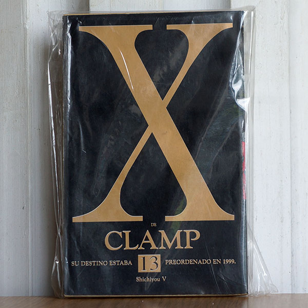 X #13
